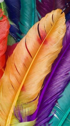 iPhone Wallpaper HD The Wondrous Pics