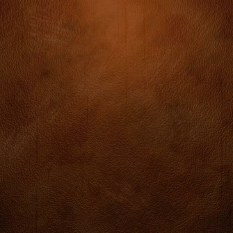 Brown Leather Texture By Maxdaten