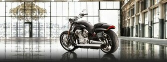 Rod Night Special V Muscle