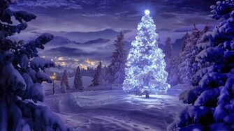 Christmas Night HD Wallpaper Tree In Lights Snow