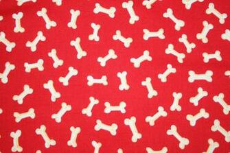 Dog Bone Background Yard White Bones