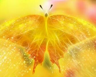 Yellow Butterfly Desktop Pc And Mac Wallpaper