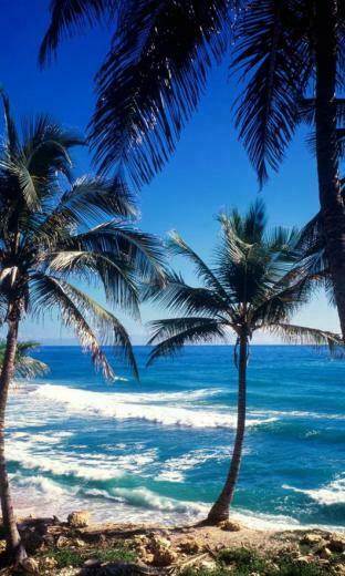 Thought Provoking Summer Wallpaper For Windows Phone