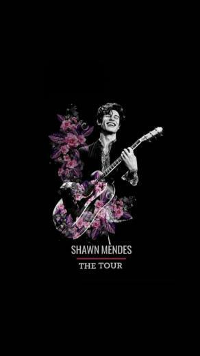 Mrs Mendes On Aye Show Me That Mendussy In Shawn