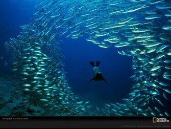 Most Famous National Geographic HD Wallpaper Part