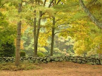 New England Stone Wall In Autumn Pete Brown S 10rem Net