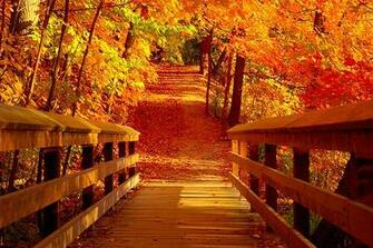 First Day Of Autumn