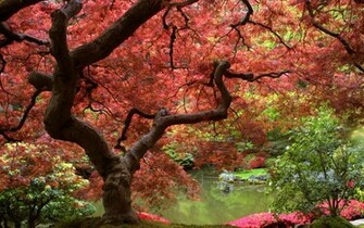 Autumn Wallpaper Nature Desktop