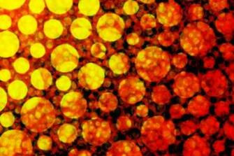 Yellow Circles Background In The Red And Black