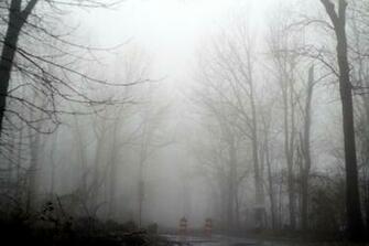 Foggy Background By Twilitesmuse