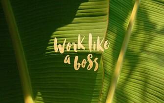 Work Like A Boss Desktop Wallpaper By Leysa Flores