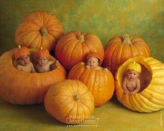 Anne Geddes Wallpaper