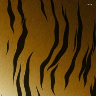 Tiger Fur Wallpaper Digital Art