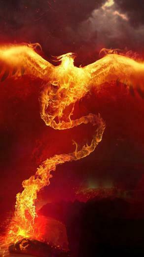 Phoenix Best Htc One Wallpaper And Easy To