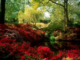 Source Url Thewallpaper Org Nature Spring