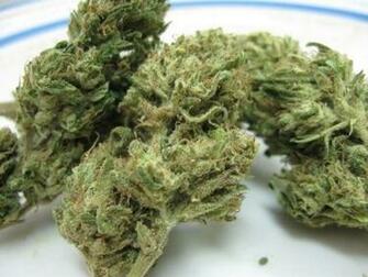 Sour Diesel Bud Graphics Code Comments
