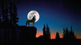 Moon Wolf Wallpaper
