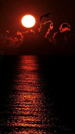 Off This Amazing Picture Sunrise Wallpaper Size