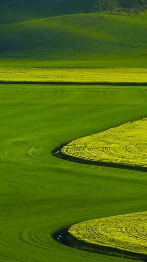 Beautiful Green Natural Scenery iPhone Wallpaper HD