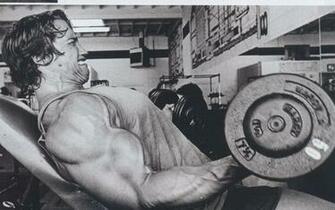 Arnold Schwarzenegger Wallpaper Background Image