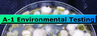 Mold Inspector Los Angeles Neighborhoods