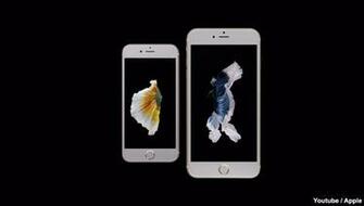 Siamese Fighting Fish Image In iPhone 6s Wallpaper Came From The