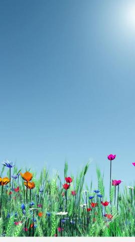 iPhone Wallpaper HD Spring Cute