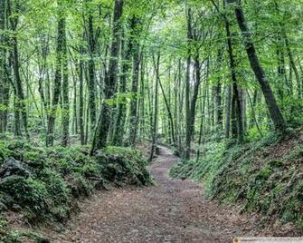Summer At La Fageda D En Jord 4k HD Desktop Wallpaper For