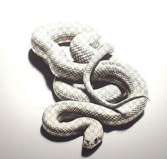 Guccisnake Image By Owlpurist On Favim