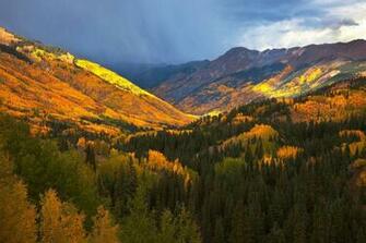At Aspen Forest High Quality And Resolution Wallpaper