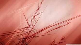 Brown Red Wallpaper