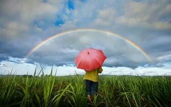 Rainbow Make A Wish S Background Wallpaper