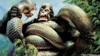 Gorilla Wallpaper Giant Gorillas HD