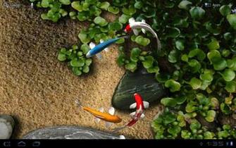 Wallpaper Android App Re Koi Live For