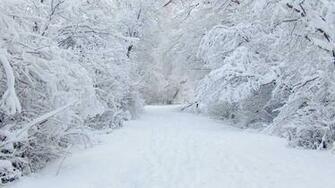 Winter Wallpaper Stocks