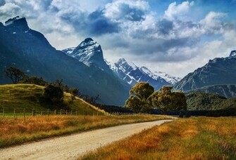 Wallpaper Paradise New Zealand Otago Mountain Road Tree Desktop