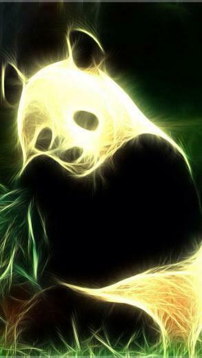 Panda iPhone Wallpaper Background Background