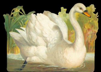 Vintage Swan Clipart By Jinifur