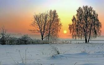 Winter Sunset Wallpaper