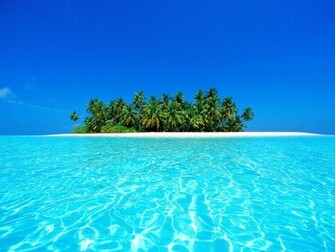 Beautiful Pic Different Pictures Wallpaper