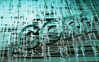 3d Digital Art Wallpaper World Wide Web Sign