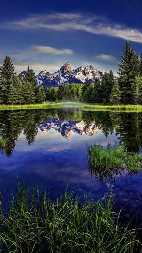 Beaver Pond Grand Teton National Park iPhone Wallpaper