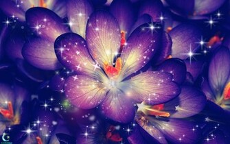 Kindlykhan Purple Background By Kindiykhan