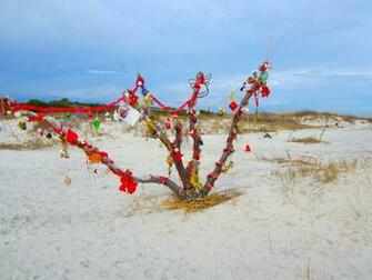 Christmas Beach Wallpaper