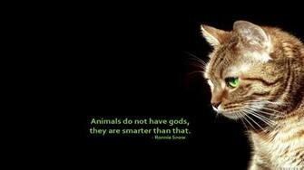 Text Cats Animals Quotes Simple Background Black