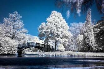 Best Infrared Wallpaper