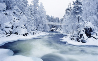 Ice Wallpaper