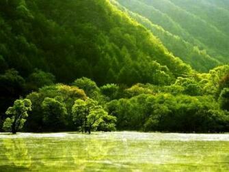 Peaceful Nature Wallpaper