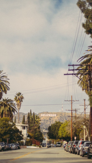 Wallpaper Hollywood Road Trees iPhone 6s