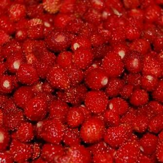 Strawberries Red Berry Ripe Wallpaper